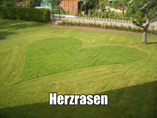 Ein Rasen der so gemäht wurde, dass eine Herzform sichtbar ist. Darunter das Wort "Herzrasen".