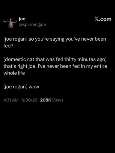 The joe rogan experience