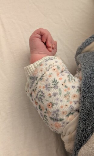 Une petite main de bébé 